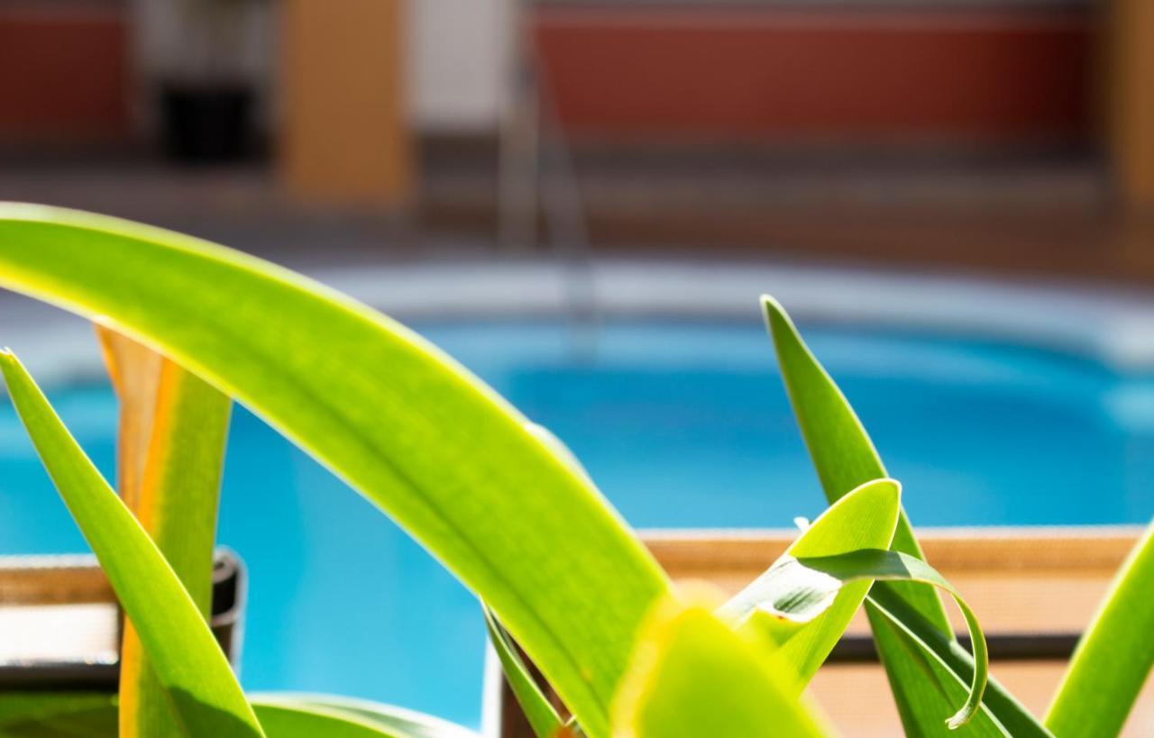 Del Mar Inn Playas Тихуана Экстерьер фото
